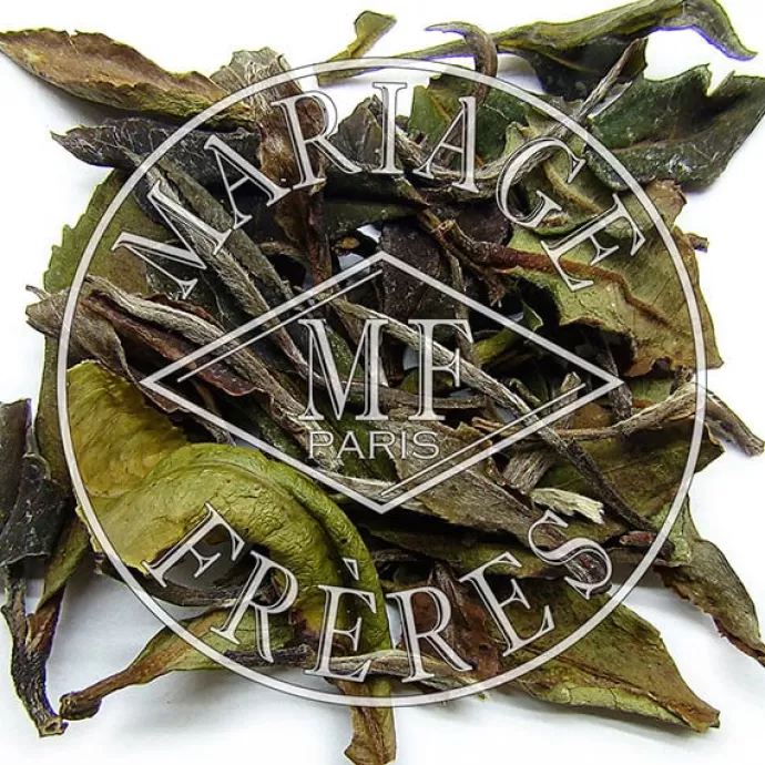 MARIAGE FRÈRES Darjeeling | Himalaya - Darjeeling^PIVOINE D'HIMALAYA