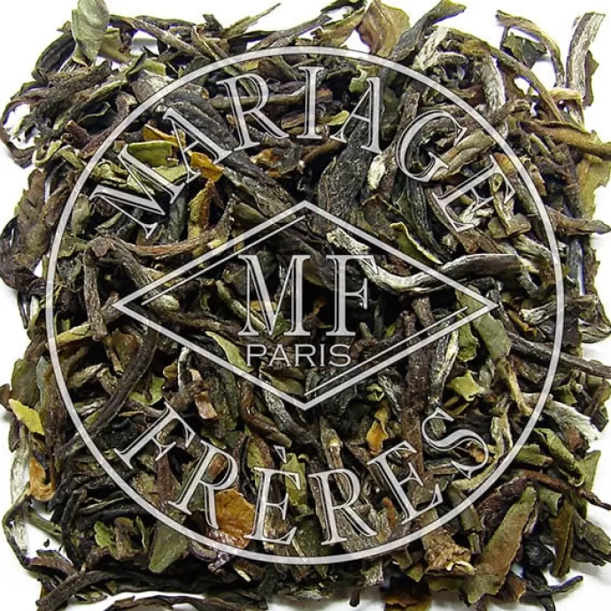 MARIAGE FRÈRES Darjeeling | Himalaya - Darjeeling^QUEEN VICTORIA™